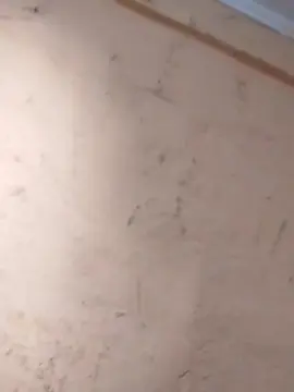 Cam4 Free Live Porn of Gustavit09