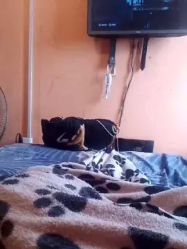 Cam4 Nude Webcam of Gustavit09