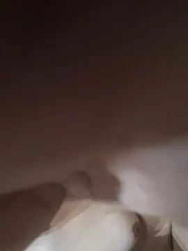 Cam4 Nude Webcam of srav5