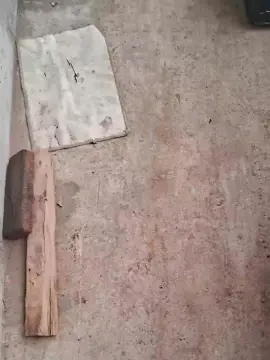 Cam4 Sex Cam of Alekikocgh