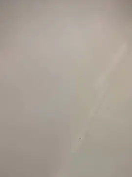 Cam4 Live Sex of Bahia196