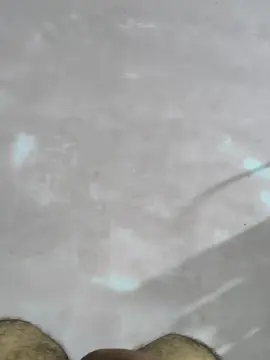 Cam4 Adult Webcams of Hotboy256839