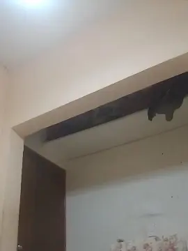 Cam4 Adult Webcam of mex777_fun