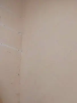 Cam4 Free Porn Cam of mex777_fun