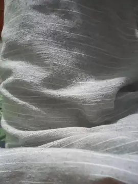 Cam4 Adult Video Chat of Curtioprazer