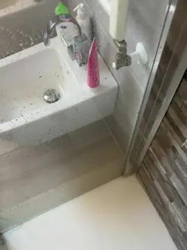 Cam4 Adult Webcam of tantavoglia41