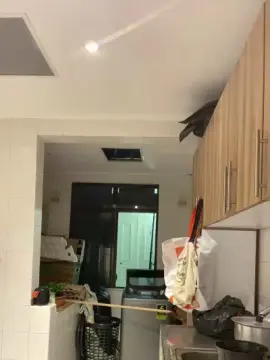 Cam4 Sex Chat of Stailers