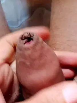 Cam4 Sex Cam of rodovlaz