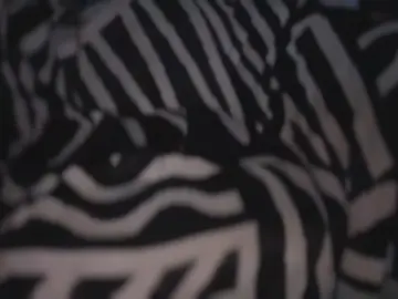 Cam4 Free Porn Cam of greeneydband