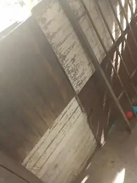 Cam4 Adult Video Chat of pajalarga1