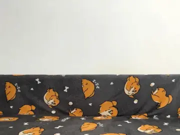 Cam4 Adult Webcams of LissaZou