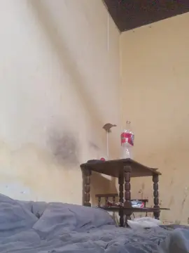 Cam4 Best Webcam of Blancanieves32