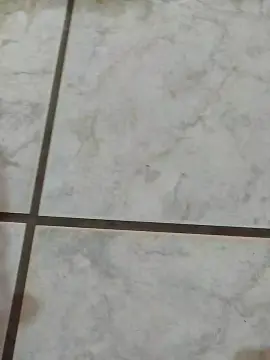 Cam4 Best Webcam of piaosexy