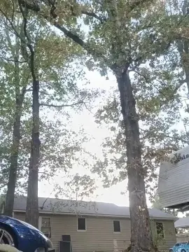 Cam4 Adult Webcams of Littleguy25