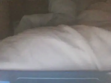 Cam4 Adult Webcam of Littleguy25