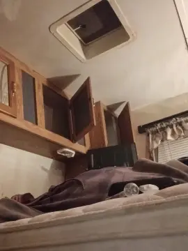 Cam4 Nude Webcam of Littleguy25