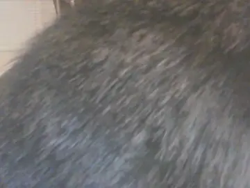 Cam4 Adult Webcams of Littleguy25