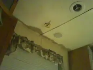 Cam4 Free Live Porn of Littleguy25