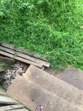 Cam4 Best live sex cam show of NovinSafdoBR