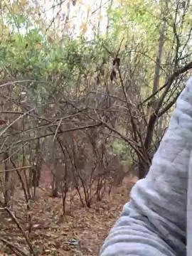 Cam4 Live Porn of Socke72