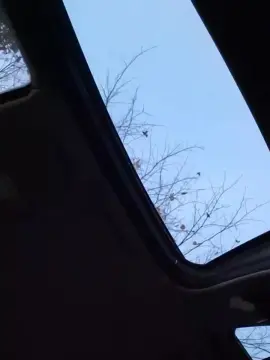 Cam4 Sex Chat of Socke72