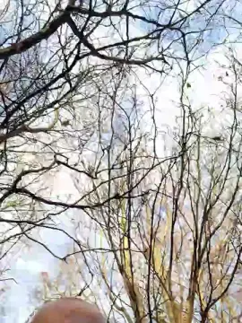 Cam4 Adult Video Chat of Socke72