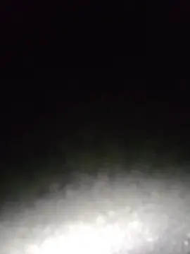 Cam4 Sex Cam of TDiddy42