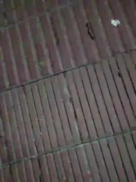 Cam4 Free Porn Cam of glandemoja2