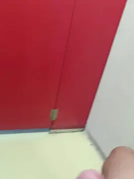 Cam4 Live Sex of El_lince69