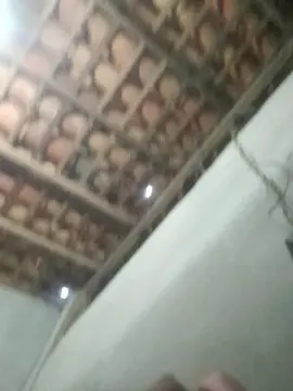 Cam4 Free Live Porn of capetinha1821