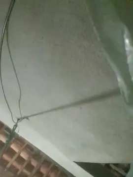 Cam4 Live Sex of capetinha1821