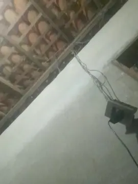 Cam4 Best Webcam of capetinha1821