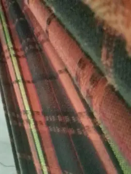 Cam4 Adult Webcam of capetinha1821