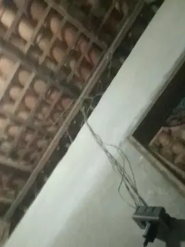 Cam4 Watch Live Sex Cams of capetinha1821