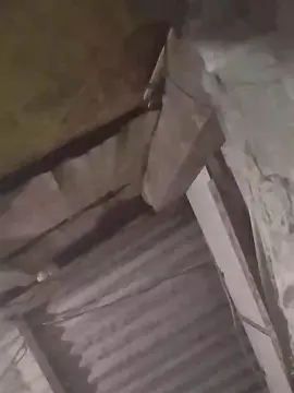 Cam4 Live Sex of capetinha1821