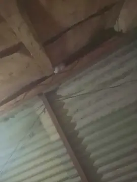 Cam4 Free Live Porn of capetinha1821