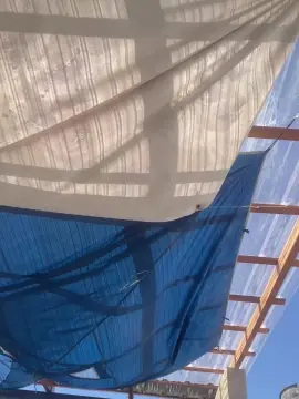 Cam4 Adult Video Chat of richard2061