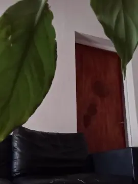 Cam4 Live Sex Cam of Tamo_Loco