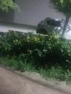 Cam4 Sex Cam of jacintos2