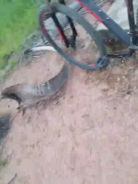 Cam4 Free Live Porn of Daddy_capixaba