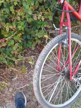 Cam4 Private Sex Chat of Daddy_capixaba