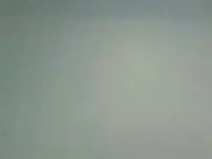 Cam4 Free Live Porn of Almarosetti