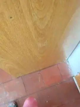 Cam4 Best Webcam of Labestia29