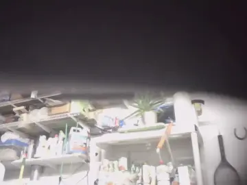 Cam4 Best live sex cam show of Beardedwood