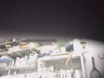 Cam4 Nude Webcam of Beardedwood