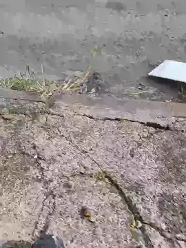 Cam4 Watch Live Sex Cams of jumm42