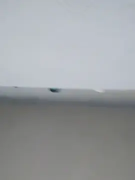 Cam4 Best Webcam of alexander_69xxx