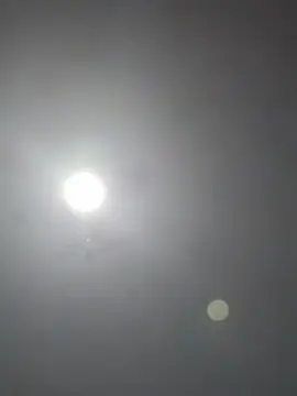 Cam4 Sex Chat of alexander_69xxx