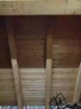 Cam4 Live Sex of shaggyvery