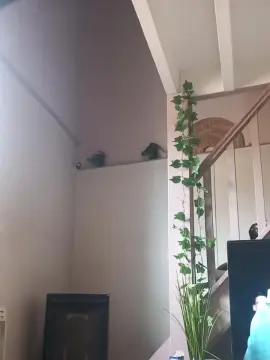 Cam4 Adult Video Chat of Beurette33sexy